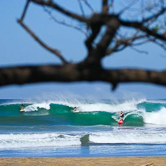 Votre agent de voyage trip adékua Votre agent de voyage surf trip adékua au Costa Rica