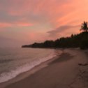 Avis séjour surf à Montezuma au Costa Rica