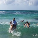 Avis séjour surf en Guadeloupe
