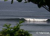 Avis séjour surf au Salvador