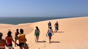 Avis vacances au Maroc entre surf et découverte