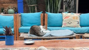 Avis vacances en surf camp au Maroc