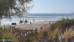 Avis surf trip au Maroc