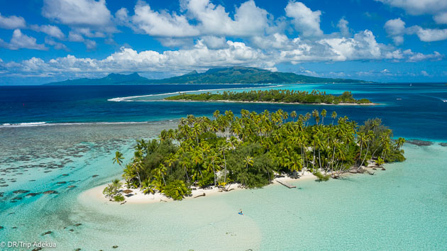 Des vacances surf de rêve en Polynésie française