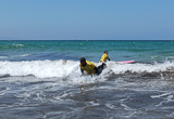 Votre stage de surf à Tarifa pour tous les niveaux - voyages adékua