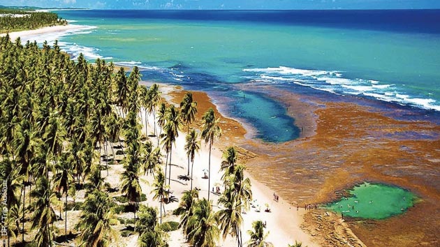 Le spot de Praia do Forte au Brésil vous réserve de belles sessions surf, kitesurf ou SUP, et de purs moments de détente