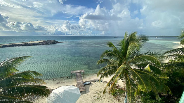 Découvrez les plus belles vagues des Maldives