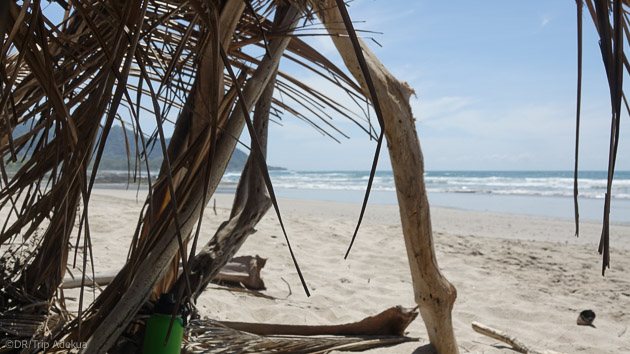 Découvrez les plus belles plages du Costa Rica en famille