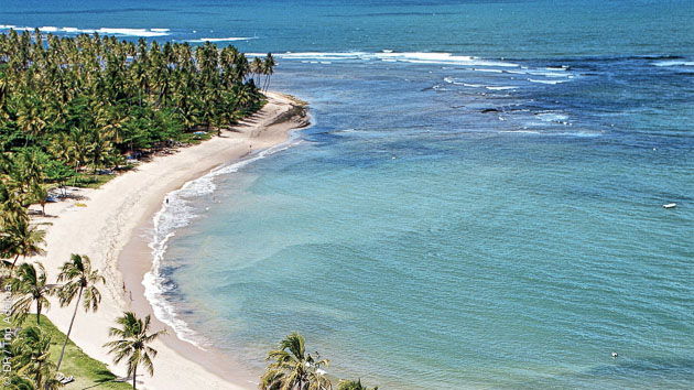 Découvrez les spots de surf de Praia do Forte avec un guide à la carte