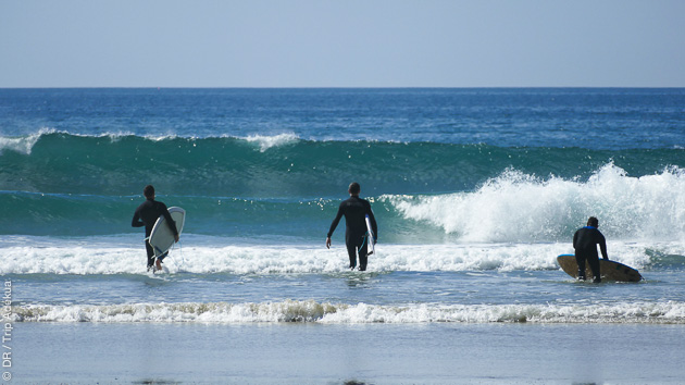 surf trip à Los Angeles
