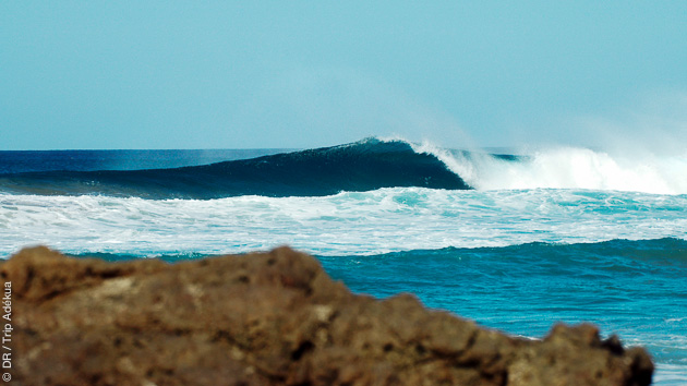 Super conditions de vagues pour des top vacances surf aux Canaries, à Fuerteventura
