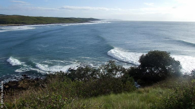 Des spots de surf superbes vous attendent en Afrique du Sud, avec les conseils d'un guide