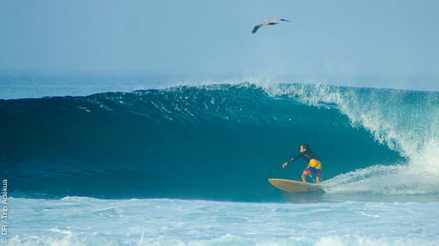 Stage surf et relaxation en duo à Montanita en Equateur