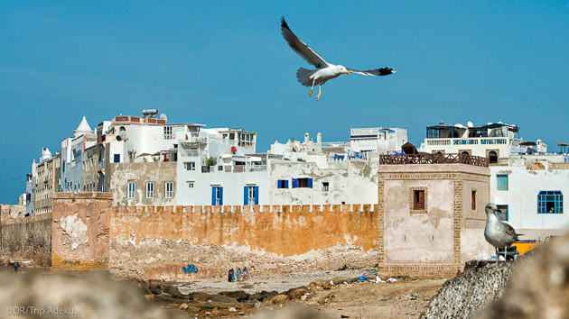 Votre maison d'hôtes de charme à Essaouira au Maroc pour votre séjour surf