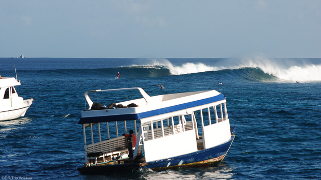 Accédez aux plus belles vagues des Maldives