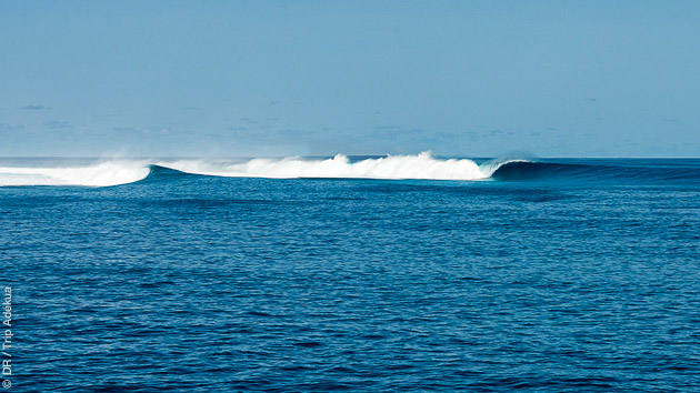 L'archipel de Huvadhoo recèle de vagues que vous surferez pendant votre croisière aux Maldives