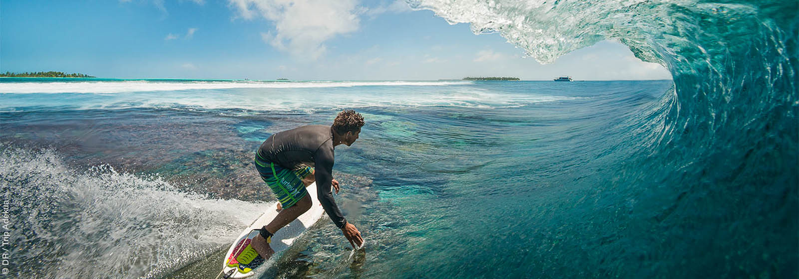 surf trip adekua