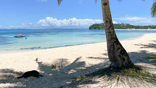 Les plus belles plages vous attendent aux Philippines